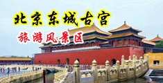 美女肉穴视频中国北京-东城古宫旅游风景区